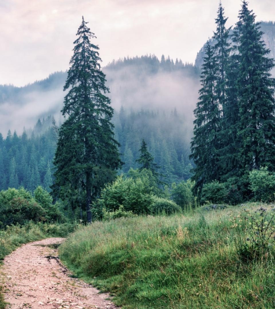 environment