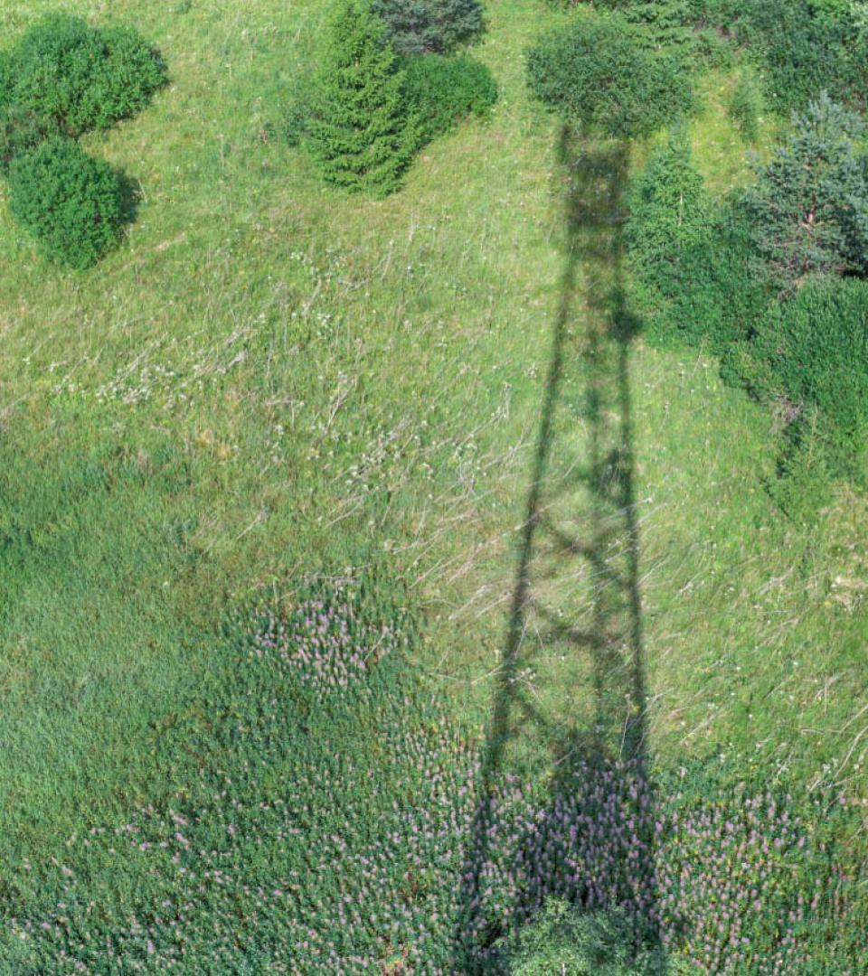 Cell Tower